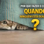 Por que fazer o certo quando ninguém está olhando define seu caráter